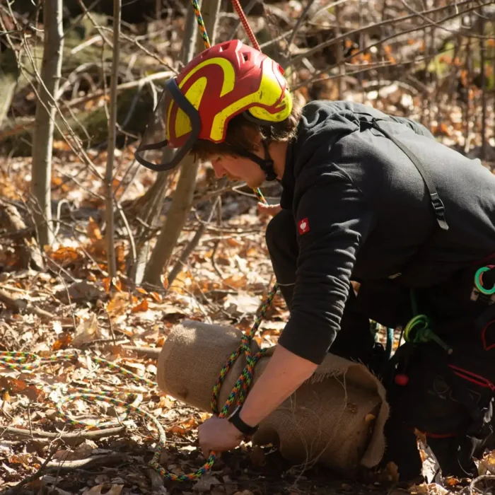 Boomverzorging Lubbeek en Tielt-Winge